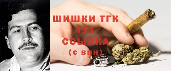ПСИЛОЦИБИНОВЫЕ ГРИБЫ Осинники