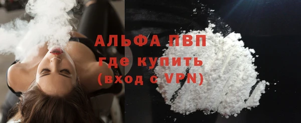 сатива Елабуга