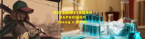 ПСИЛОЦИБИНОВЫЕ ГРИБЫ Осинники