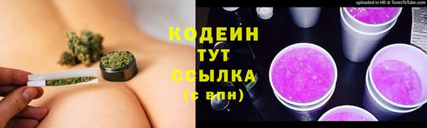 2c-b Ельня