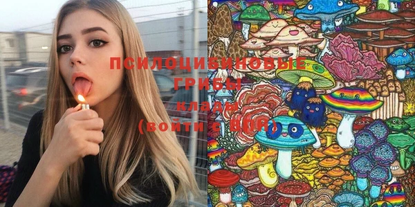 таблы Няндома