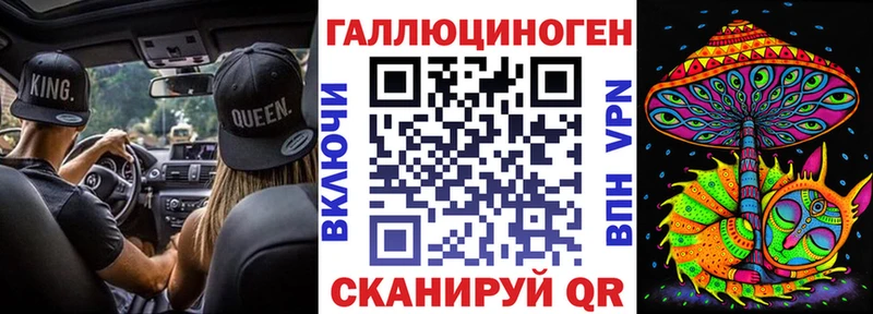 OMG ONION Севск Галлюциногенные грибы GOLDEN TEACHER